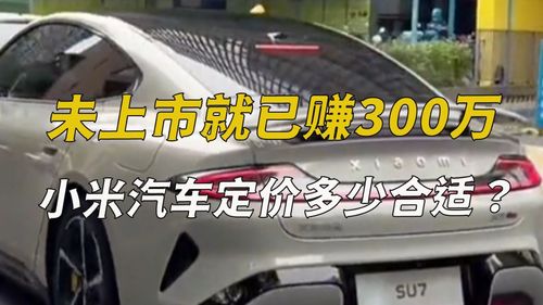 汽车终端 价格多少合适